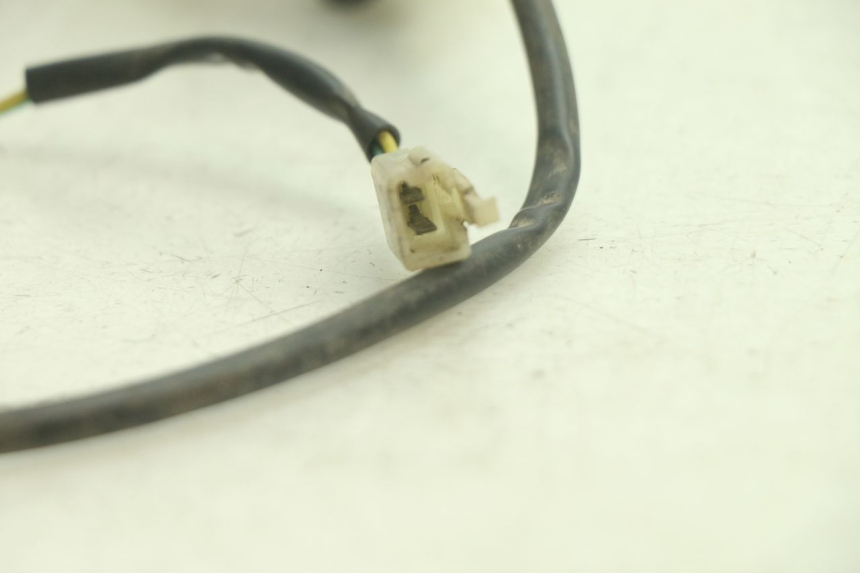photo de VEILLEUSE PEUGEOT KISBEE 4T 50 (2018 - 2022) - Gros plan technique