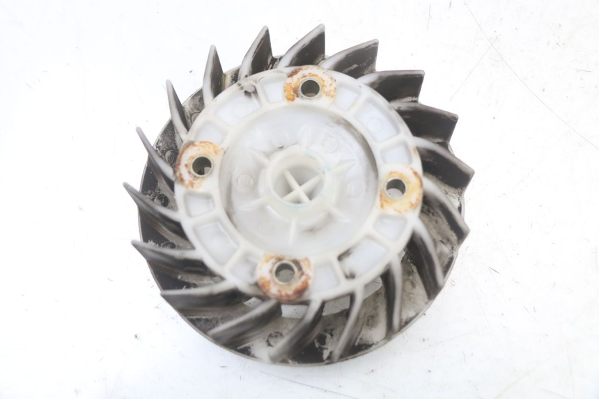 photo de VENTILATEUR PEUGEOT DJANGO 125 (2014 - 2017) - Zoom état d’usage