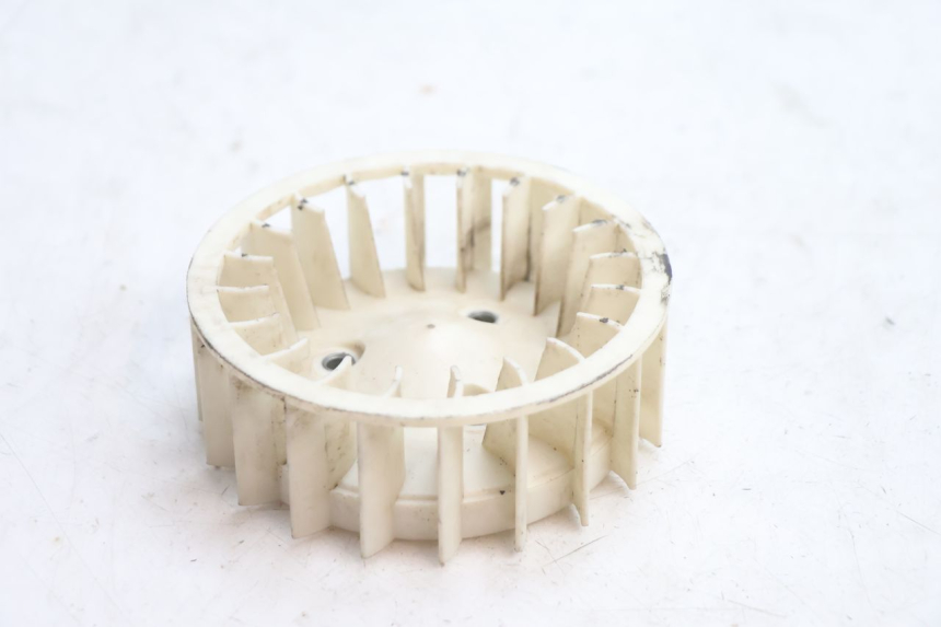 photo de VENTILATEUR TNT MOTOR ROMA 10' 2T 50 (2011 - 2018) - Vue principale