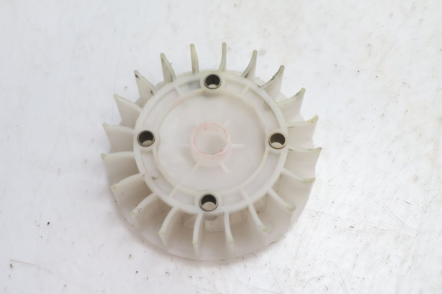 photo de VENTILATEUR TNT MOTOR ROMA 10' 4T 50 (2007 - 2018) - Détail de la pièce