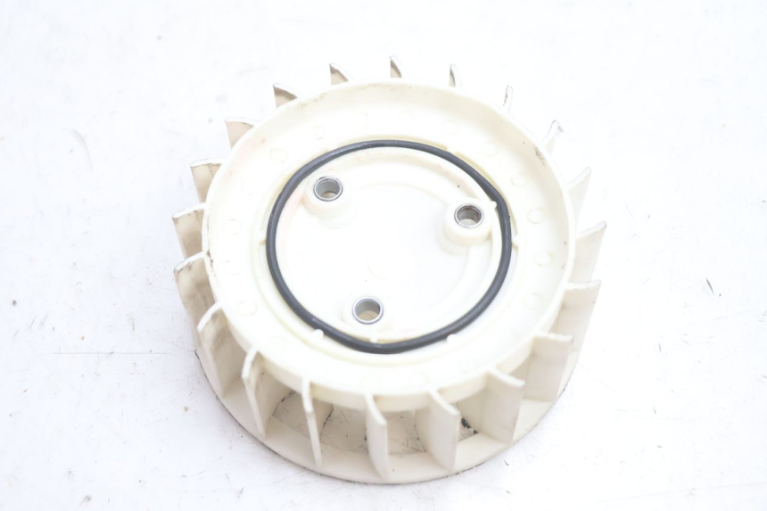 photo de VENTILATEUR TNT MOTOR ROMA 12' 2T 50 (2007 - 2018) - Zoom état d’usage