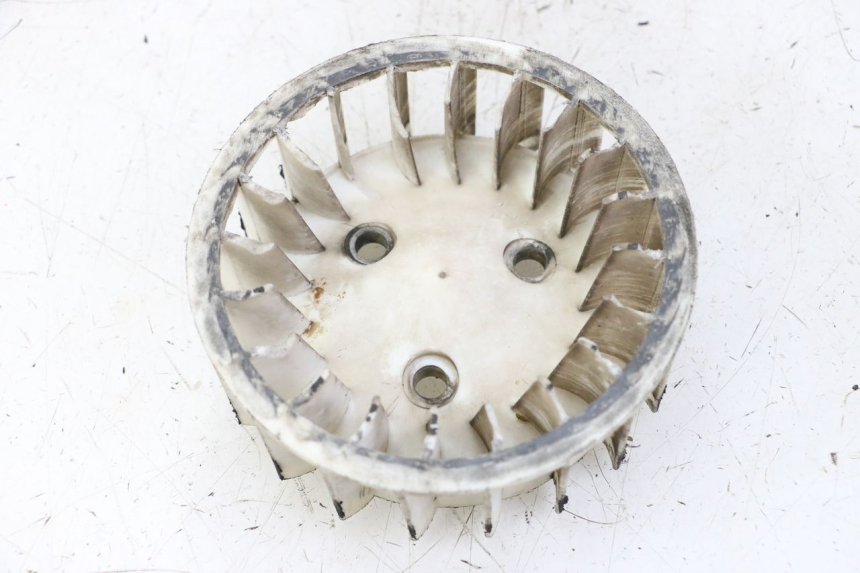 photo de VENTILATEUR TNT MOTOR ROMA 10' 2T 50 (2011 - 2018) - Vue principale