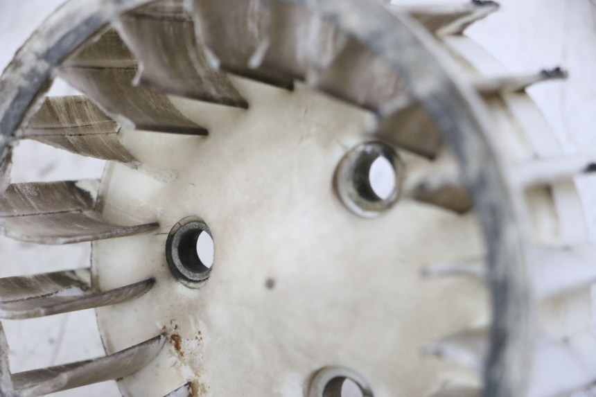 photo de VENTILATEUR TNT MOTOR ROMA 10' 2T 50 (2011 - 2018) - Détail de la pièce