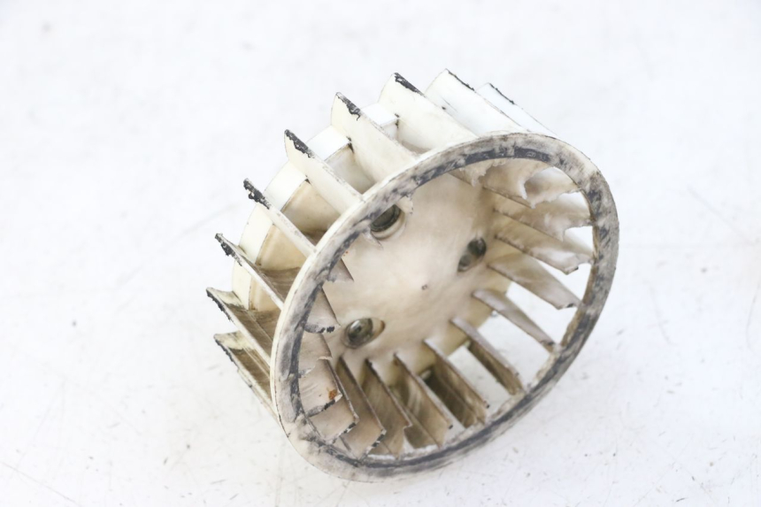 photo de VENTILATEUR TNT MOTOR ROMA 10' 2T 50 (2011 - 2018) - Zoom état d’usage