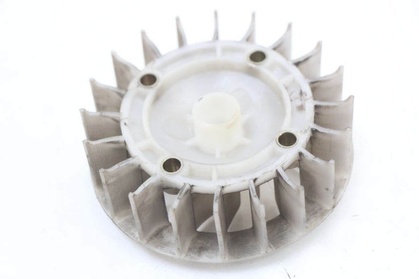 photo de Fan BEELINE VELOCE 4T 50 (2011 - 2020) - Vue principale