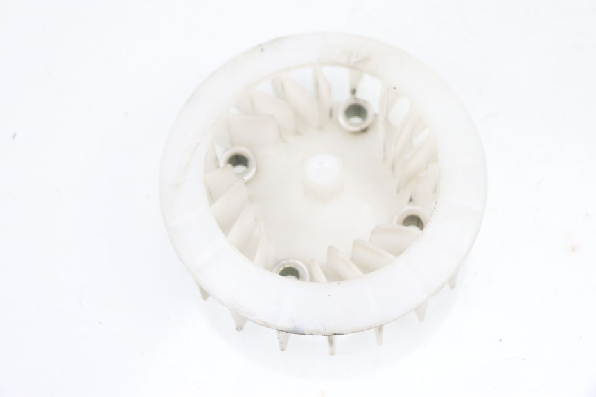 photo de VENTILATEUR JM MOTORS VIPER 4T 50 (2015 - 2022) - Vue principale