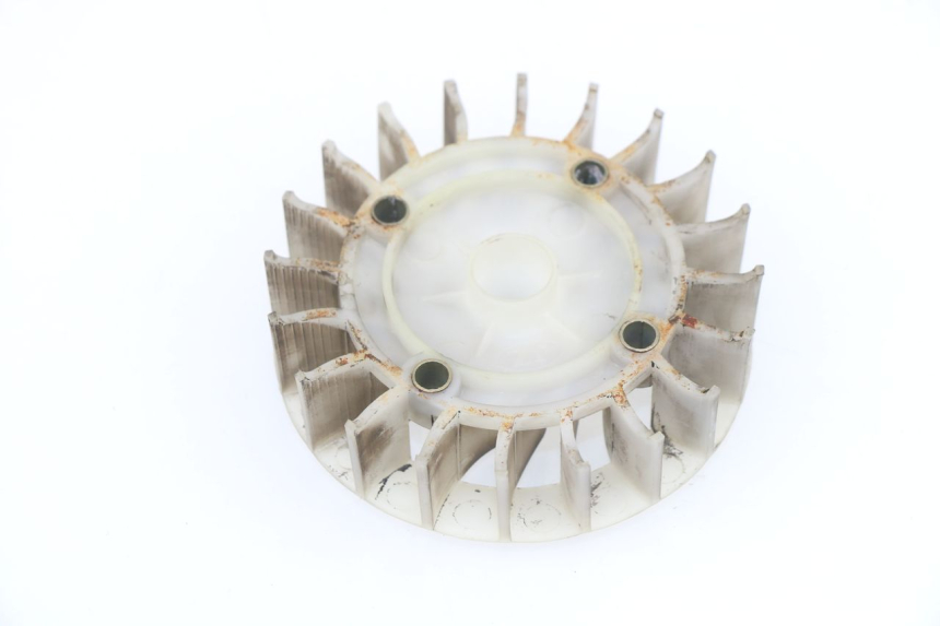 photo de VENTILATEUR ROADSIGN WALLABY 50 (2009 - 2014) - Zoom état d’usage