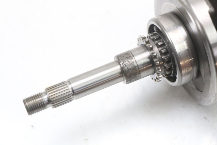 photo de VILEBREQUIN ORCAL KITE 4T 50 (2019 - 2023) - Zoom état d’usage