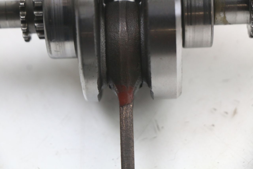 photo de VILEBREQUIN ORCAL KITE 4T 50 (2019 - 2023) - Gros plan technique