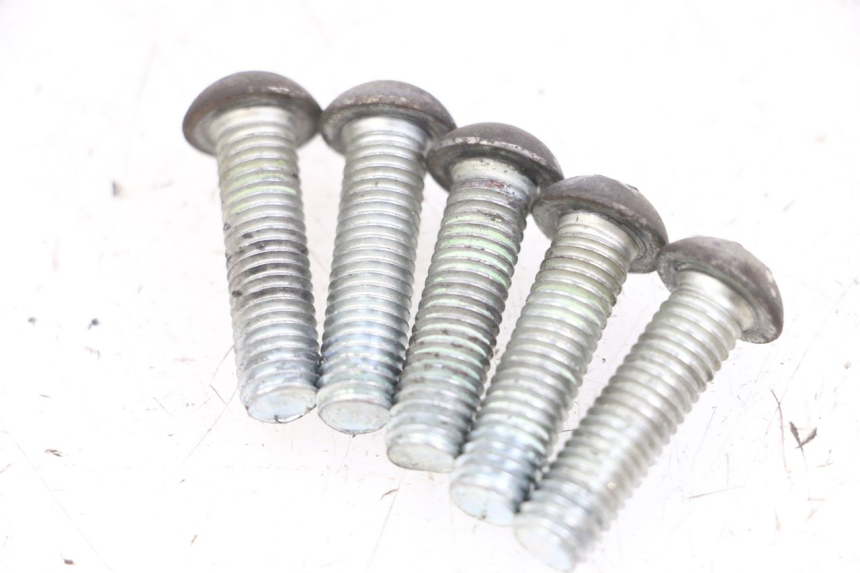 photo de VIS DISQUE DE FREIN PEUGEOT GEOPOLIS RS 125 (2007 - 2009) - Zoom état d’usage