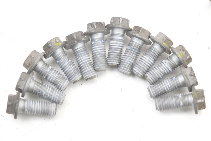 photo de VIS DISQUE DE FREIN MOTO GUZZI NORGE 8V GT 1200 (2011 - 2016) - Zoom état d’usage