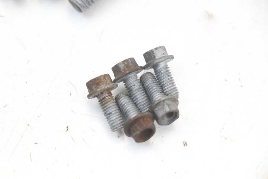 photo de VIS DISQUE DE FREIN MOTO GUZZI NORGE 8V GT 1200 (2011 - 2016) - Vue d’ensemble