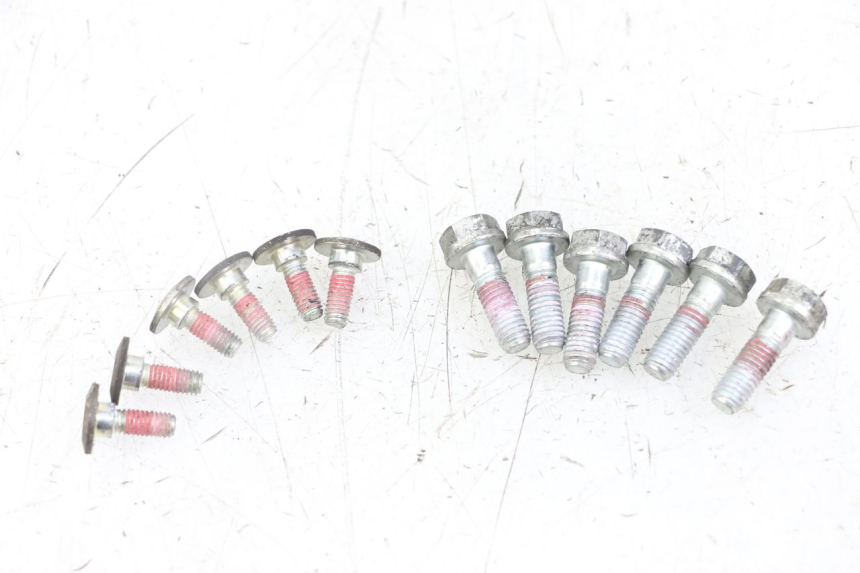 photo de VIS DISQUE DE FREIN ROYAL ENFIELD HYMALAYAN 410 (2016 - 2023) - Vue principale