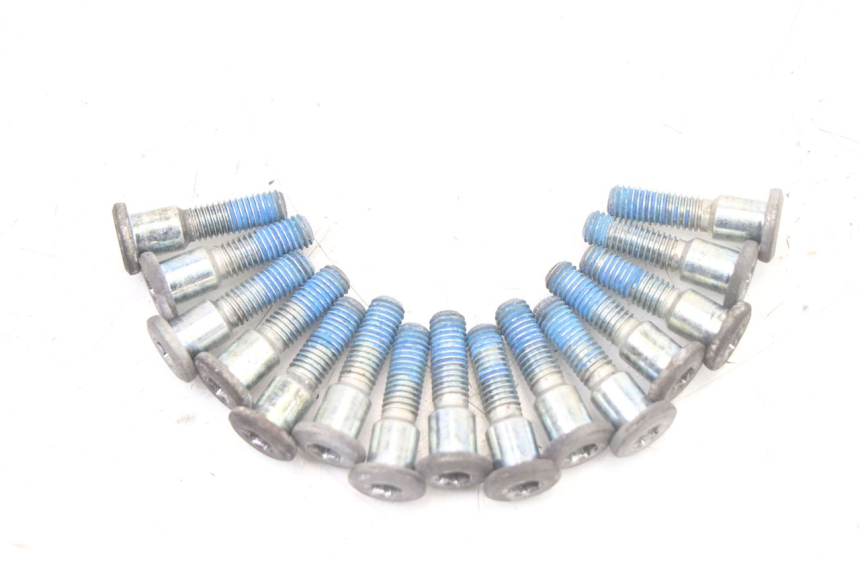 photo de VIS DISQUE DE FREIN SUZUKI GSF S BANDIT 600 (2000 - 2004) - Zoom état d’usage